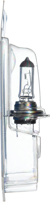 Low Beam Fog Light Bulb for Hyundai XG300 2001 - Phillips H7PRB1