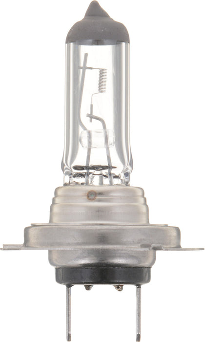 Low Beam Fog Light Bulb for Subaru Tribeca 2014 2013 2012 2011 2010 2009 2008 - Phillips H7PRB2