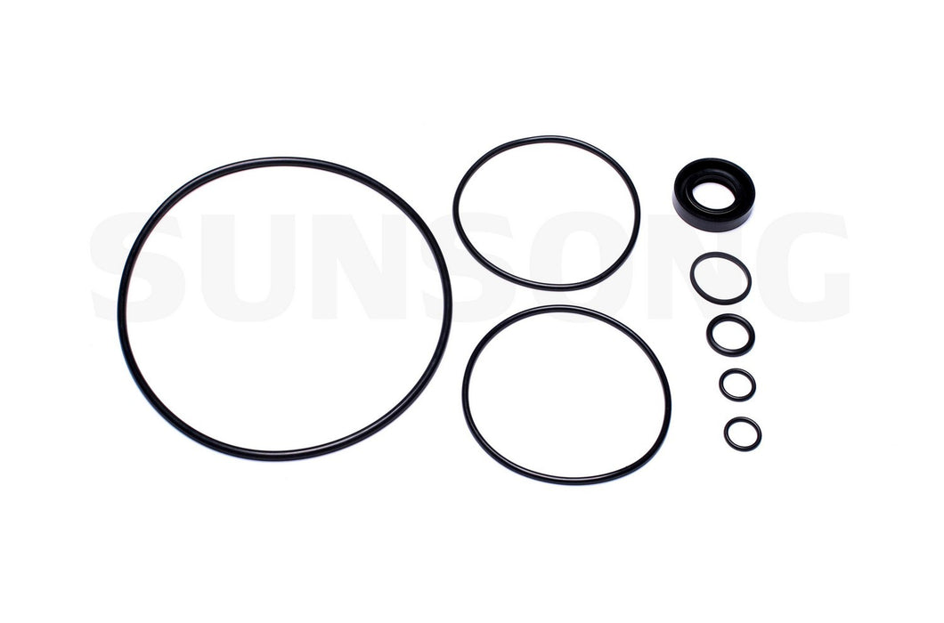 Power Steering Pump Seal Kit for Pontiac Star Chief 1963 1962 1961 1960 1959 P-3156380